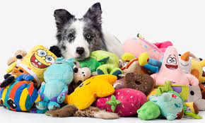 The Best Dog Toys