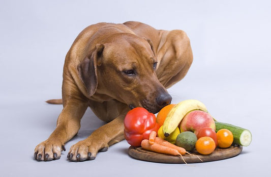 Vegetables and Fruits for Dogs