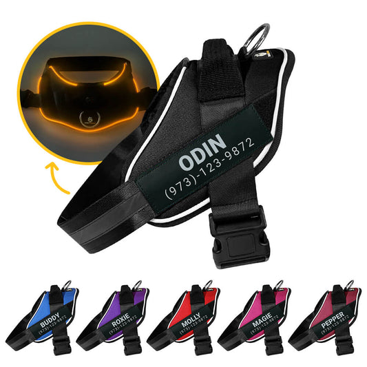 Doggykingdom Personalized NO PULL LED Harness