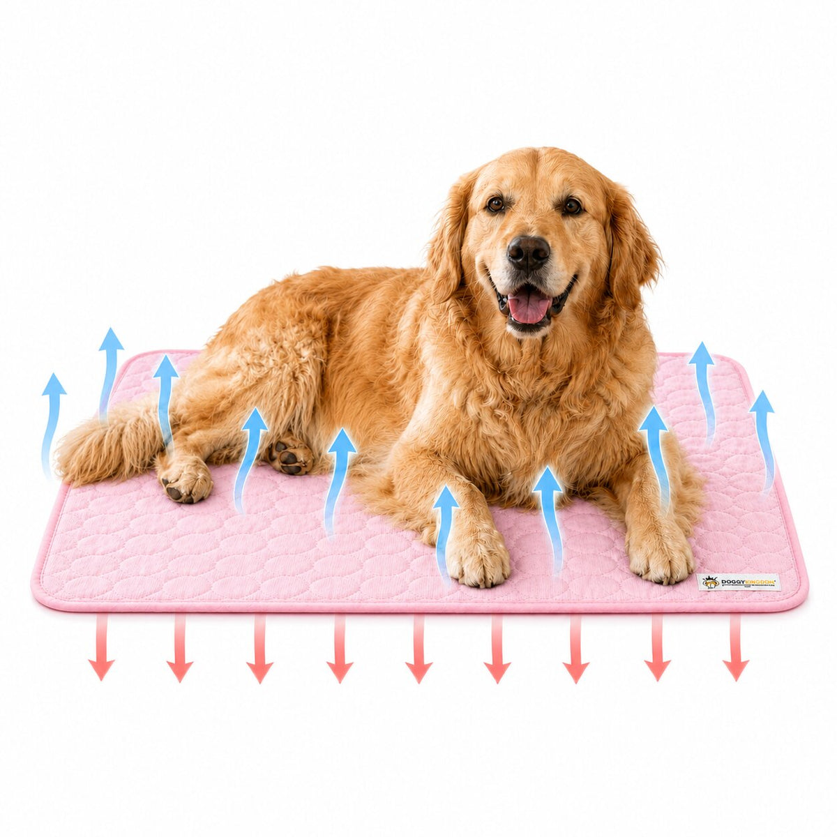 Summer Cooling Mat & Sleeping Pad