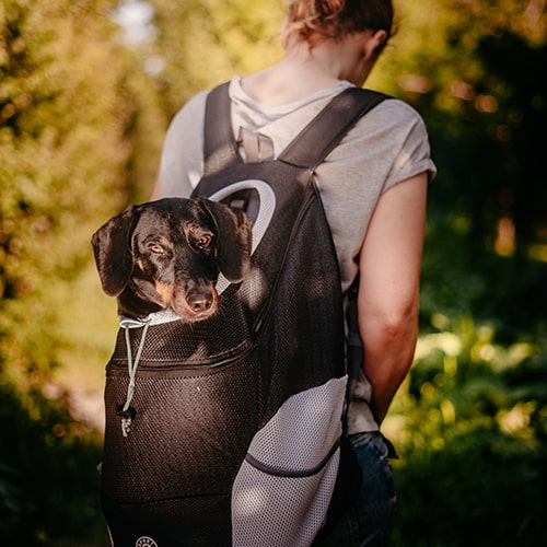 Lifetime Warranty Doggykingdom® Dog Backpack