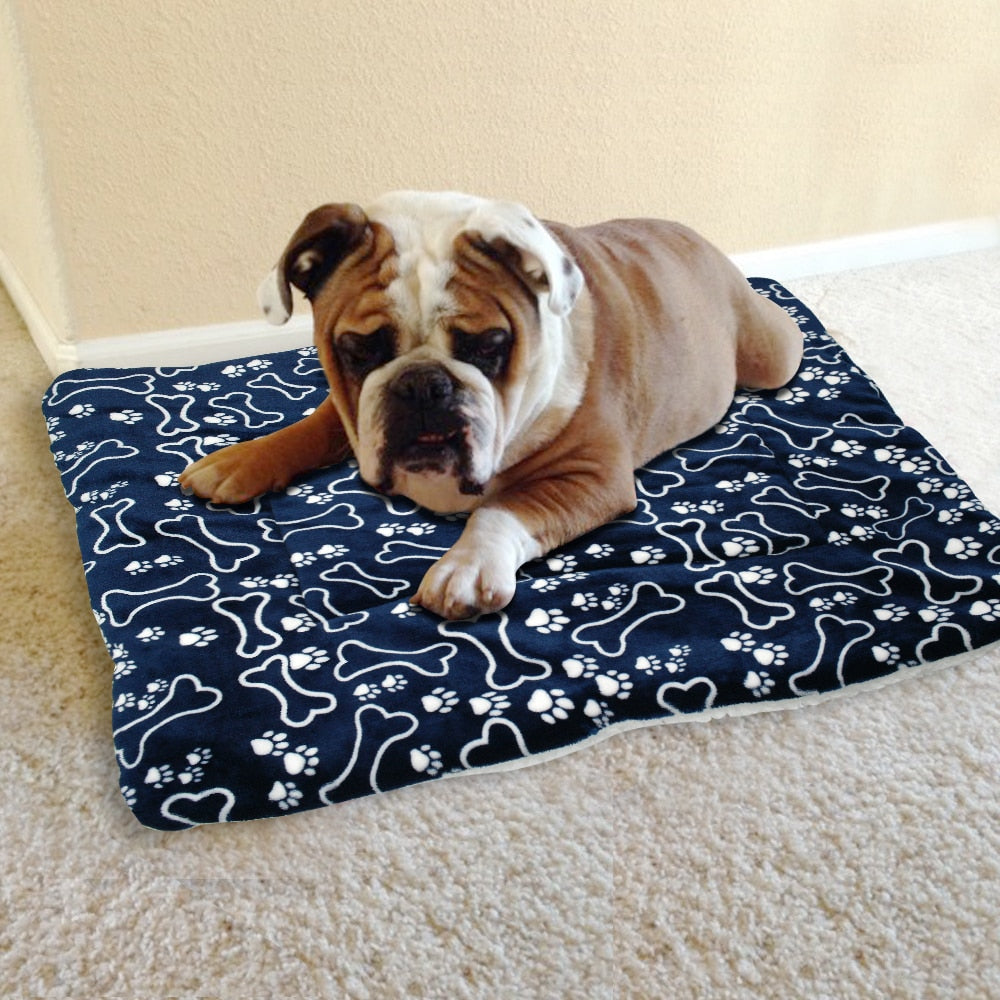Premium Dog Bed and Cushion