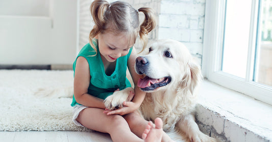 Best Dogs for Families 