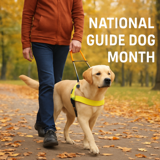 National Guide Dog Month: Stories, Training & Support