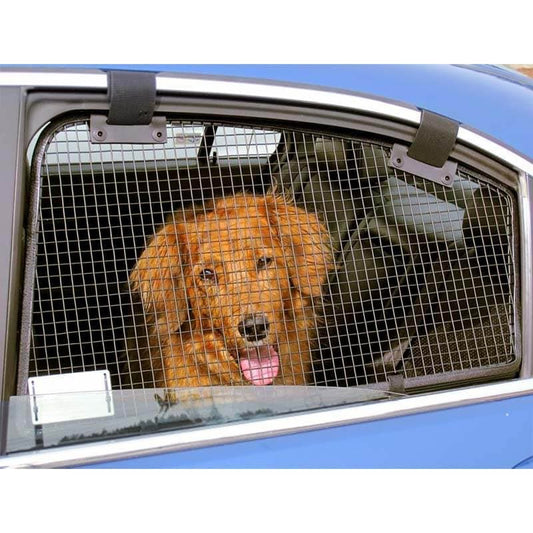 Help Your Dog Get Over Car Anxiety
