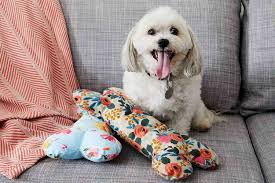 DIY Dog Toys: Fun Projects for Your Pup
