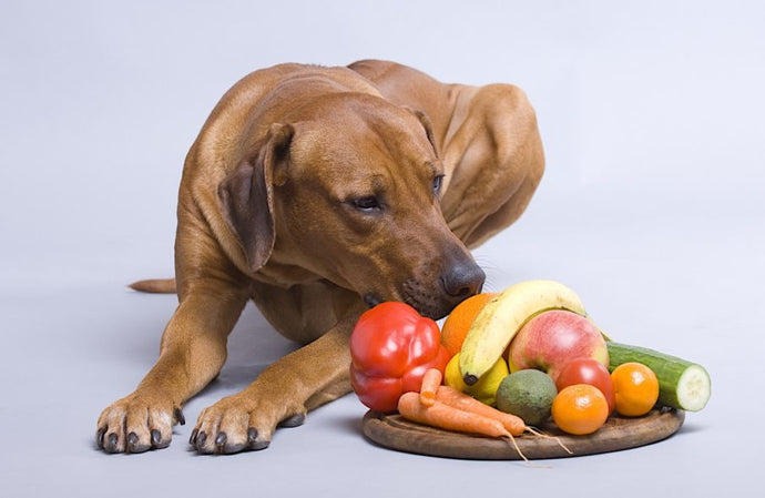 Healthy Fruits and Vegetables for Dogs