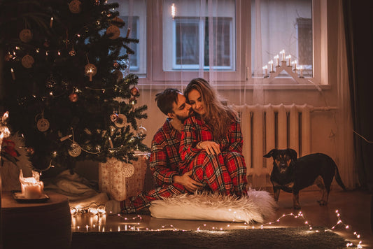 Dogs and Holiday Guests