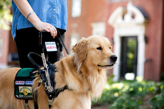 Obstacles for Service Dogs During COVID-19