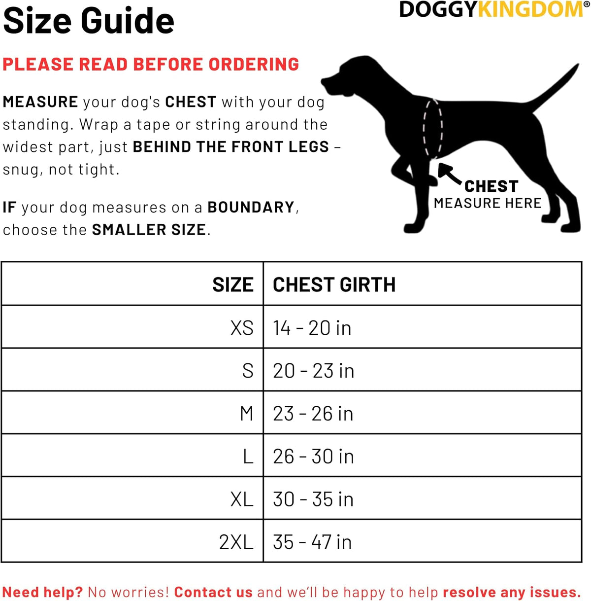 Personalized NO PULL Mesh Summer Harness