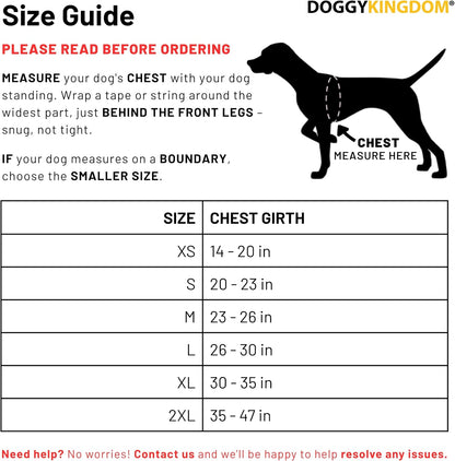 Personalized NO PULL Mesh Summer Harness