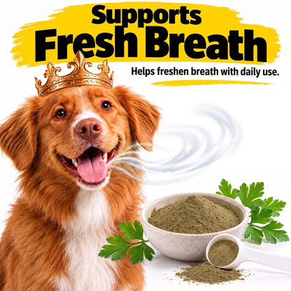 Dental Powder – Less Plaque & Tartar, No Brushing