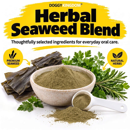 Dental Powder – Less Plaque & Tartar, No Brushing