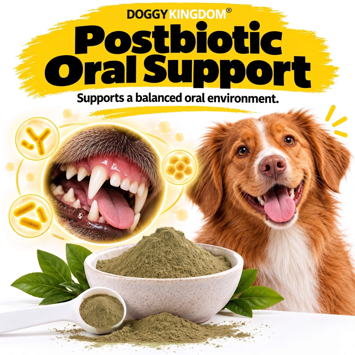 Dental Powder – Less Plaque & Tartar, No Brushing