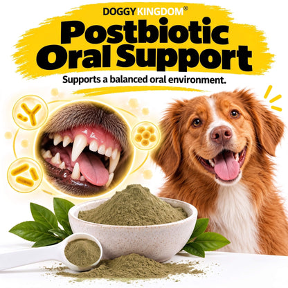 Dental Powder – Less Plaque & Tartar, No Brushing