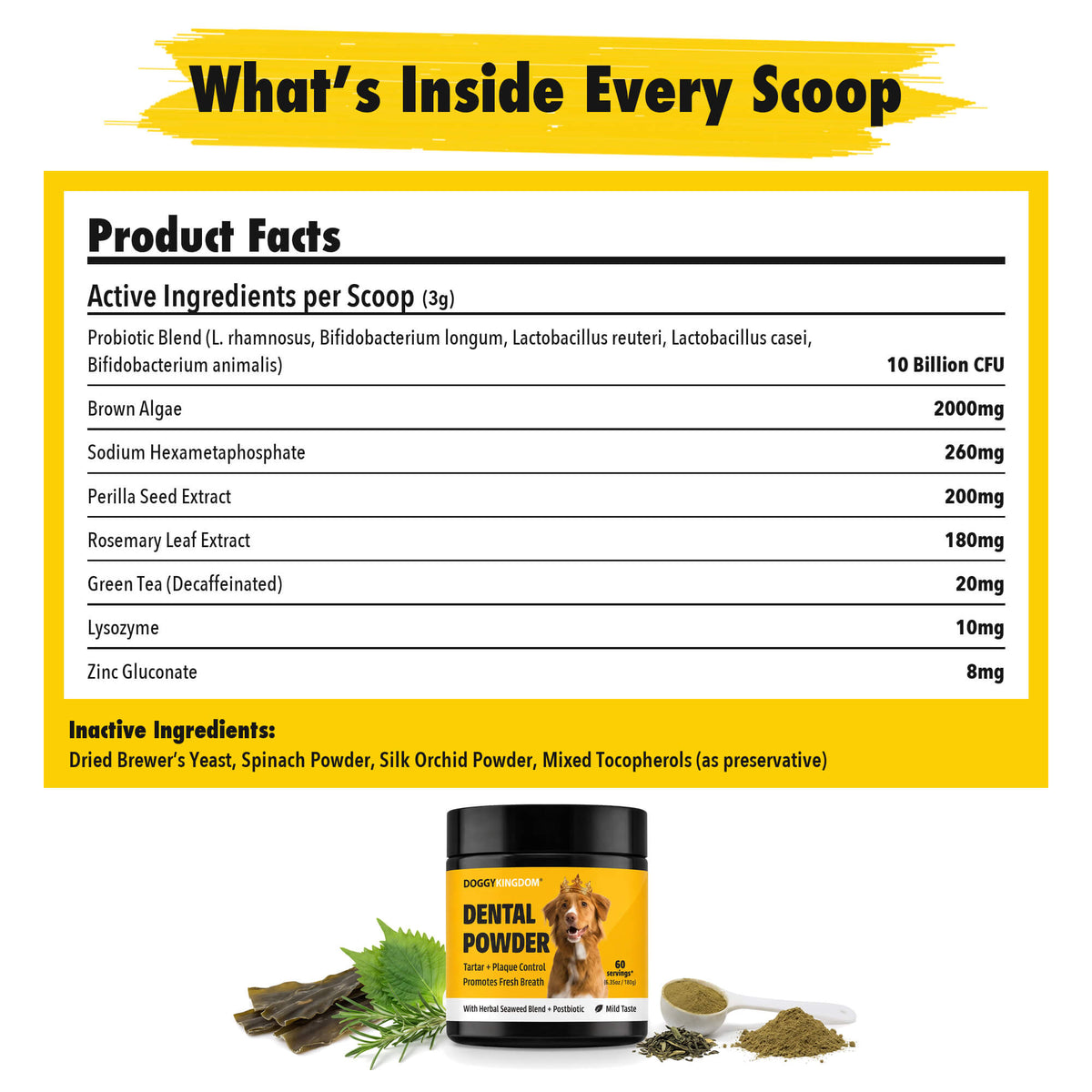 Dental Powder – Less Plaque & Tartar, No Brushing