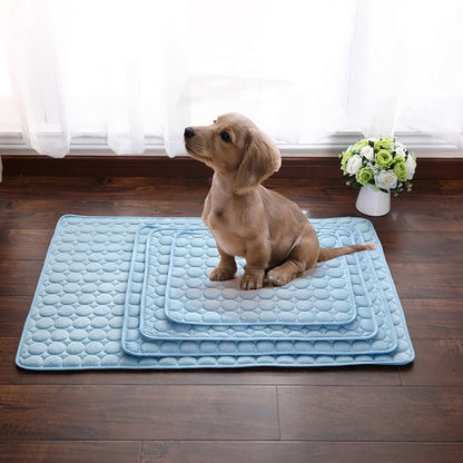 Summer Cooling Mat & Sleeping Pad