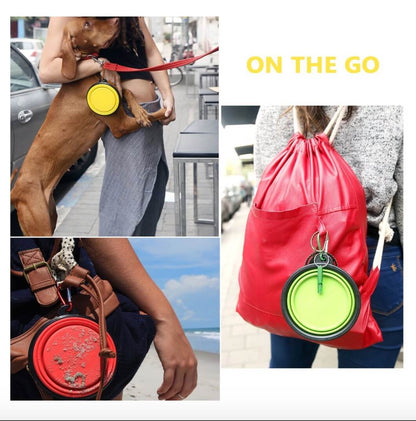 Portable and Collapsible Silicone Dog Travel Bowl