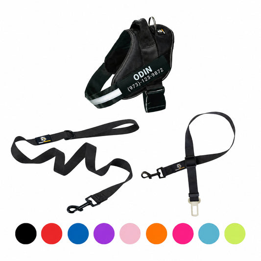 Personalized  Harness + Leash + Safety Seat Belt BUNDLE