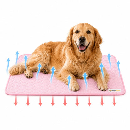 Summer Cooling Mat & Sleeping Pad