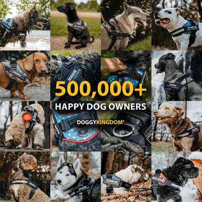 Lifetime Warranty Personalized NO PULL Harness