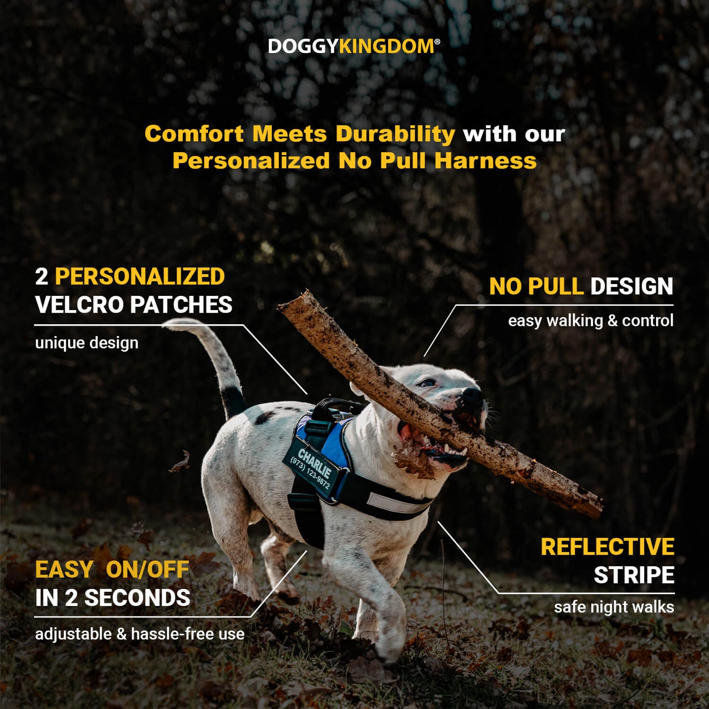 Lifetime Warranty Personalized NO PULL Harness