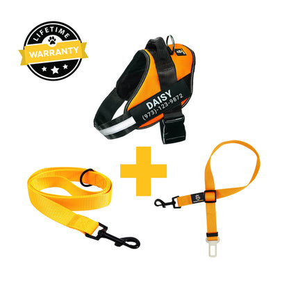 Personalized  Harness + Leash + Safety Seat Belt BUNDLE