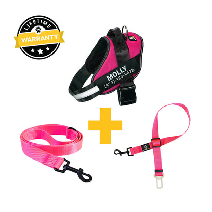 Personalized  Harness + Leash + Safety Seat Belt BUNDLE