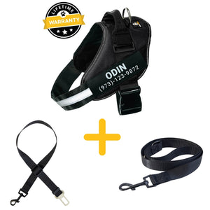 Lifetime Warranty Personalized Doggykingdom® Harness + Leash + Safety Seat Belt BUNDLE