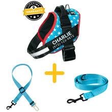 Preview Image: Lifetime Warranty Personalized Doggykingdom® Harness + Leash + Safety Seat Belt BUNDLE