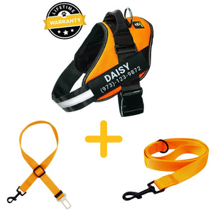 Lifetime Warranty Personalized Doggykingdom® Harness + Leash + Safety Seat Belt BUNDLE