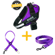 Preview Image: Lifetime Warranty Personalized Doggykingdom® Harness + Leash + Safety Seat Belt BUNDLE