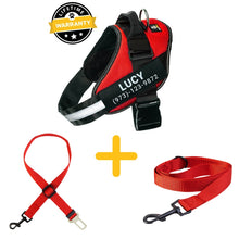 Preview Image: Lifetime Warranty Personalized Doggykingdom® Harness + Leash + Safety Seat Belt BUNDLE