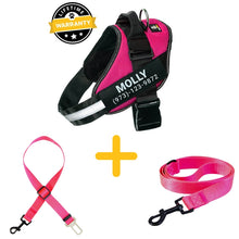 Preview Image: Lifetime Warranty Personalized Doggykingdom® Harness + Leash + Safety Seat Belt BUNDLE