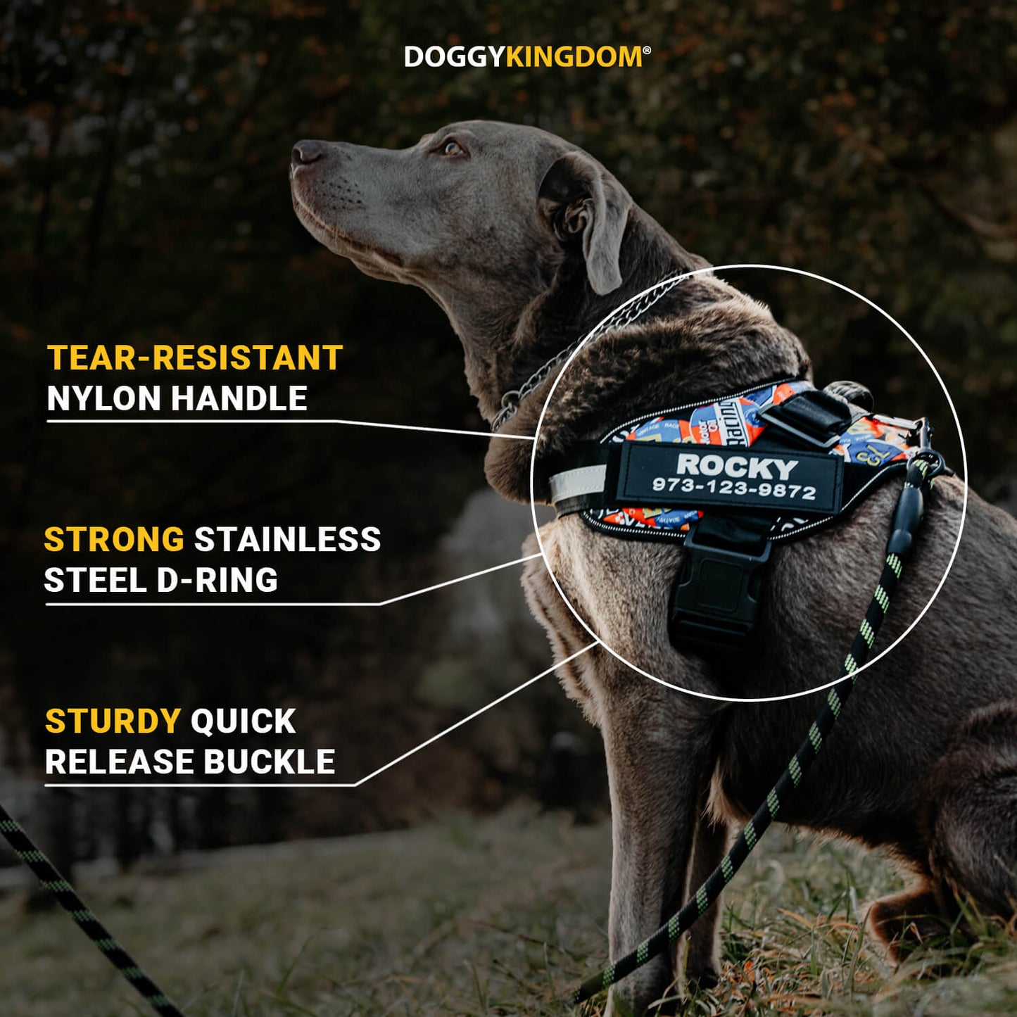 Lifetime Warranty Personalized NO PULL Harness