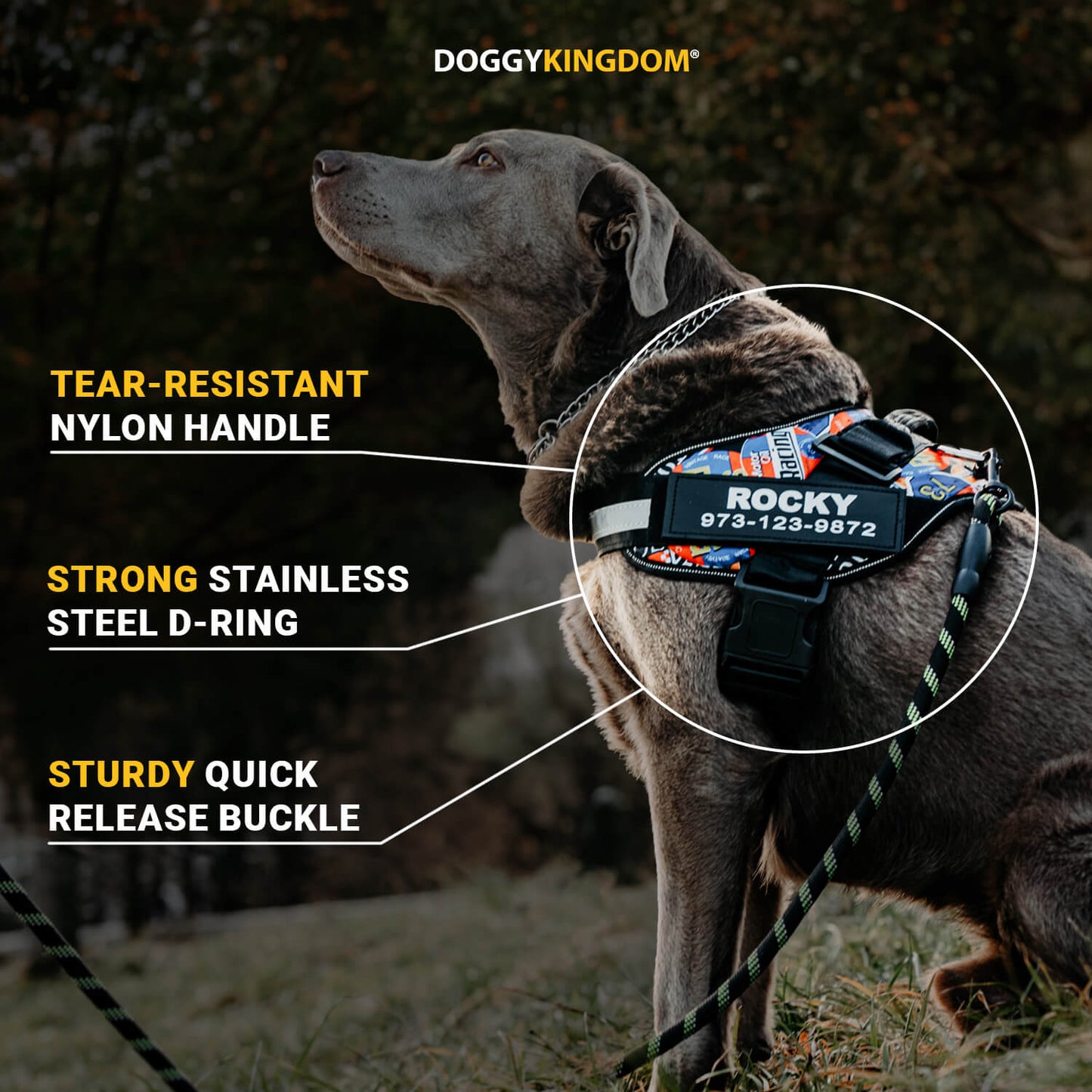 Lifetime Warranty Personalized Doggykingdom® NO PULL Harness