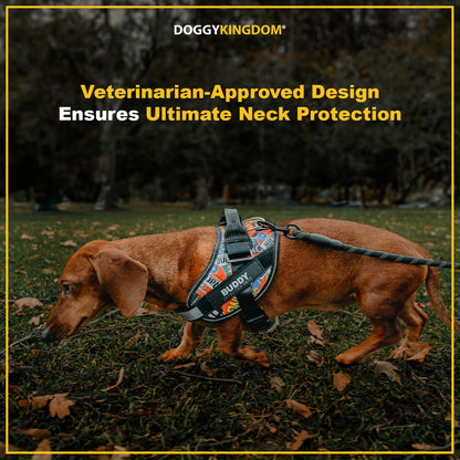 Lifetime Warranty Personalized Doggykingdom® NO PULL Harness