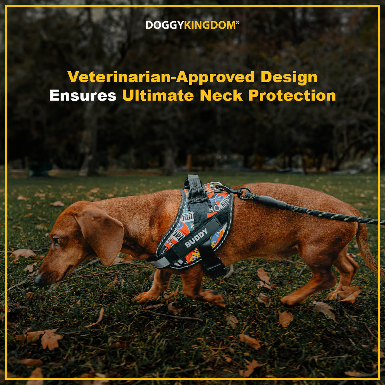 Personalized No Pull Dog Harness - Lifetime Warranty | Doggykingdom - No Pull Puppy Harness For Puppies With Hypnotic Owners