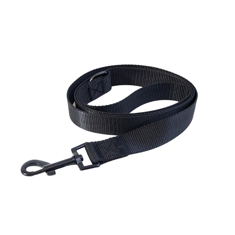 Premium Dog Leash