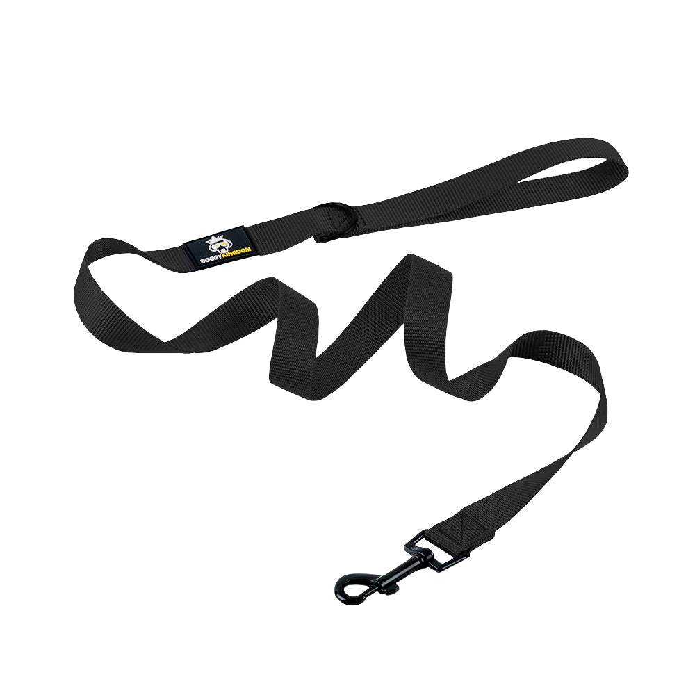 Premium Dog Leash