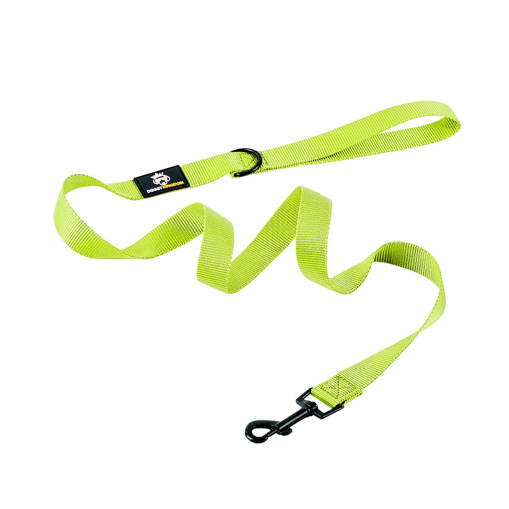 Premium Dog Leash