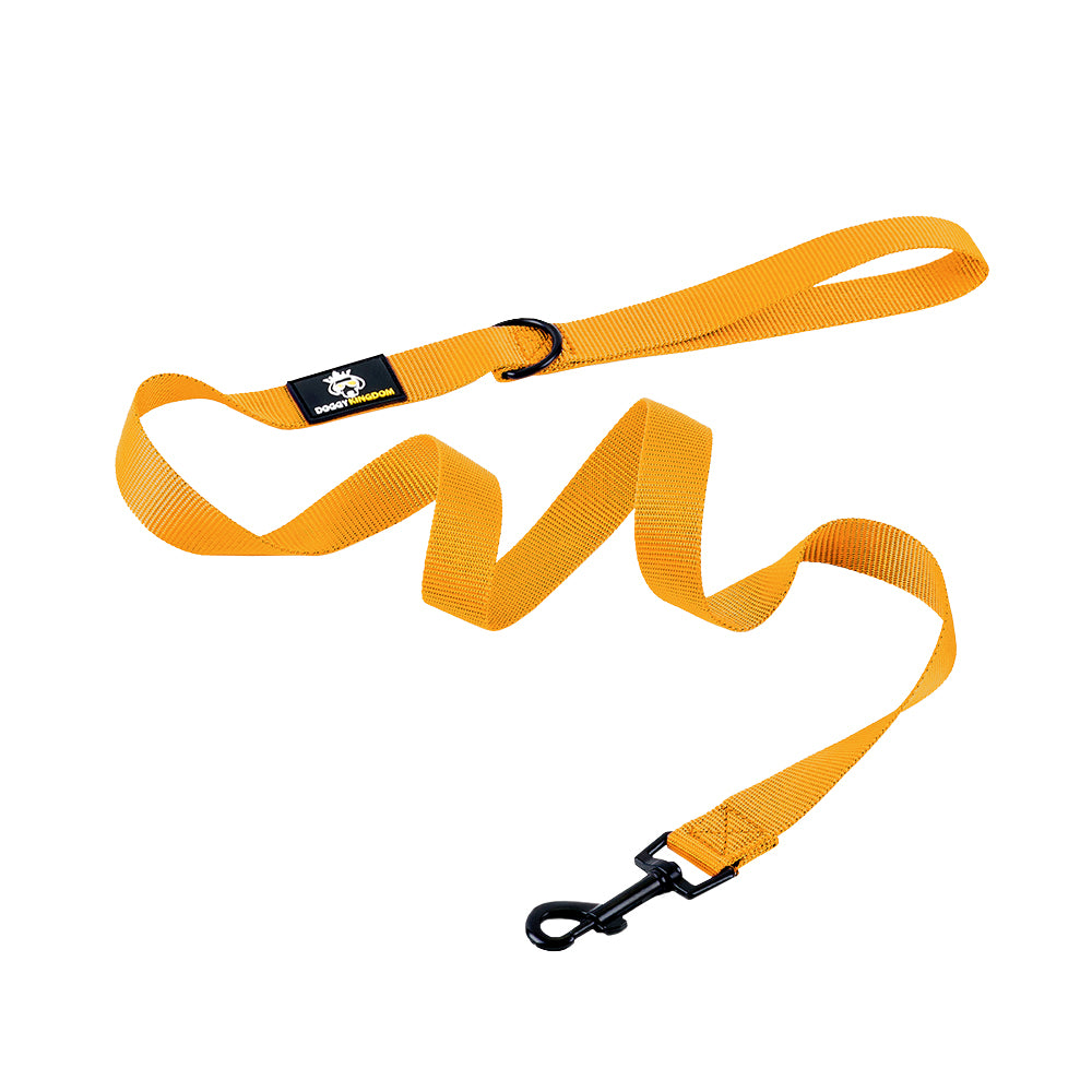 Premium Dog Leash