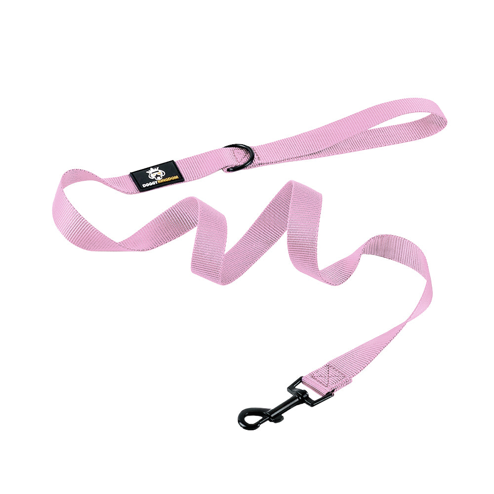 Premium Dog Leash