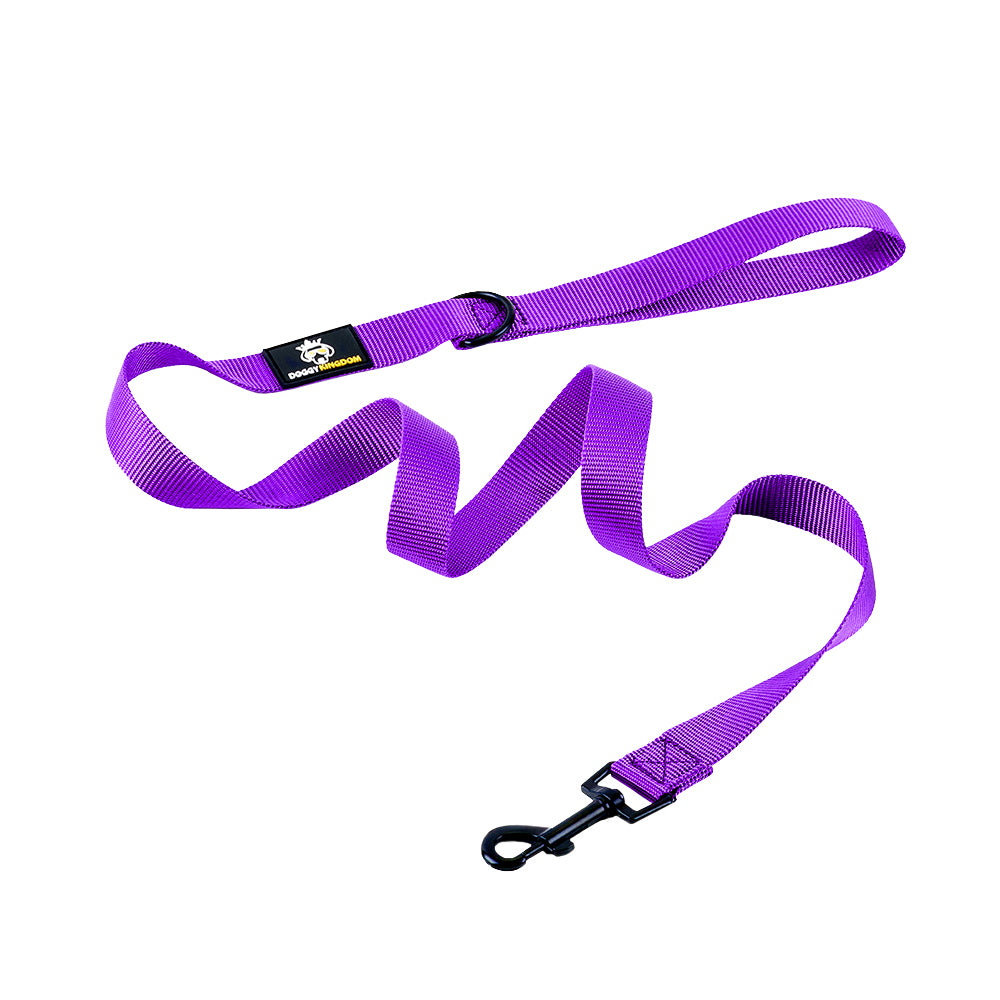 Premium Dog Leash
