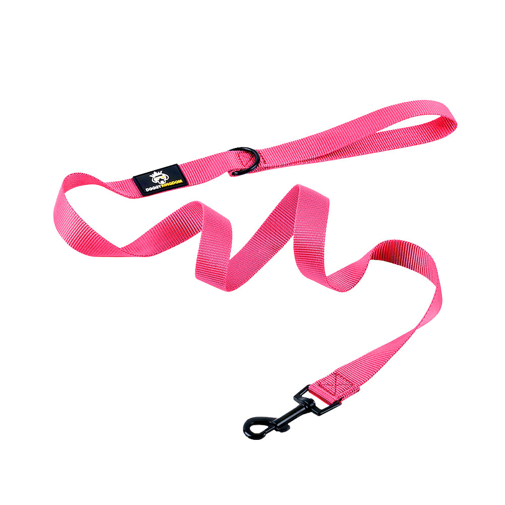 Premium Dog Leash
