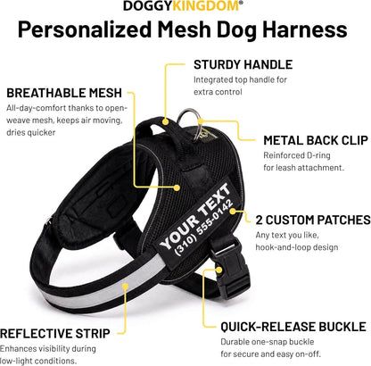 Personalized NO PULL Mesh Summer Harness