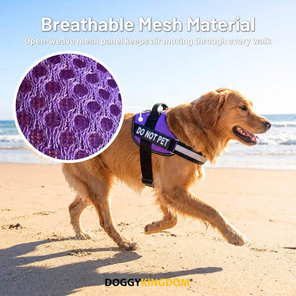Personalized NO PULL Mesh Summer Harness