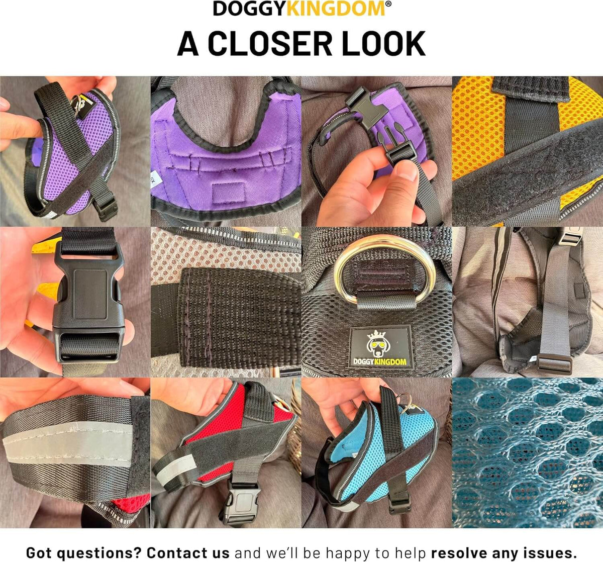 Personalized NO PULL Mesh Summer Harness