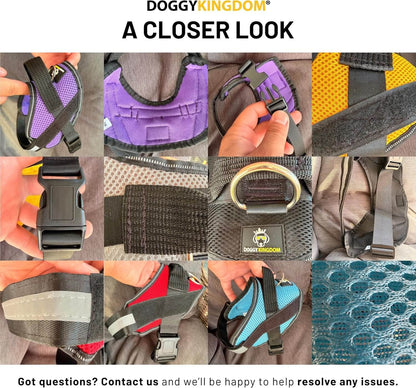 Personalized NO PULL Mesh Summer Harness