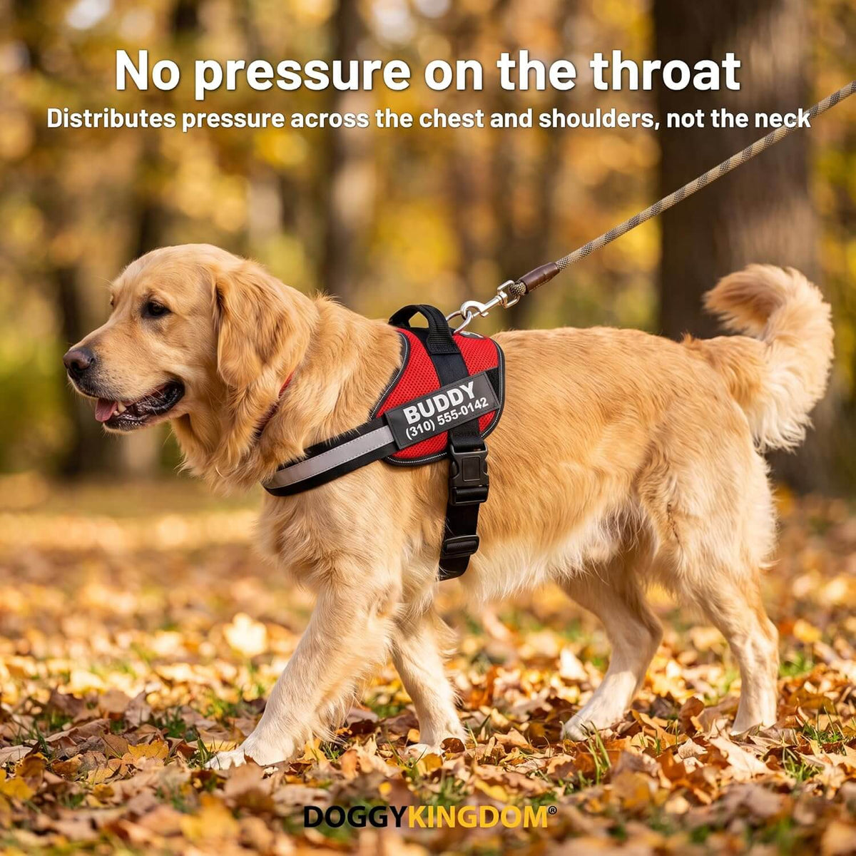 Personalized NO PULL Mesh Summer Harness
